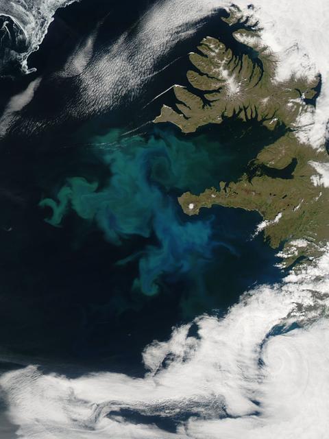 NASA image captured 06/24/2010 at 14 :30 UTC  Phytoplankton bloom off western Iceland  Satellite: Aqua  NASA/GSFC/Jeff Schmaltz/MODIS Land Rapid Response Team  To learn more about MODIS go to: <a href="http://rapidfire.sci.gsfc.nasa.gov/gallery/?latest" rel="nofollow">rapidfire.sci.gsfc.nasa.gov/gallery/?latest</a>  <b><a href="http://www.nasa.gov/centers/goddard/home/index.html" rel="nofollow">NASA Goddard Space Flight Center</a></b>  is home to the nation's largest organization of combined scientists, engineers and technologists that build spacecraft, instruments and new technology to study the Earth, the sun, our solar system, and the universe.