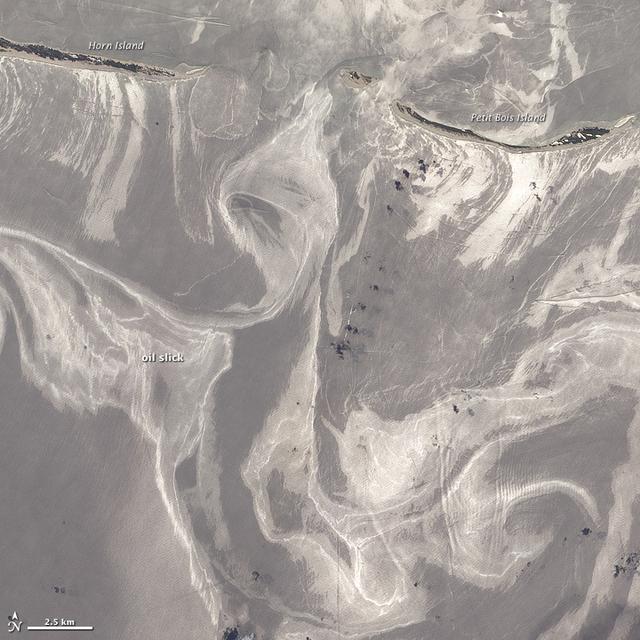 NASA image: Oil Slick Around Mississippi Barrier Islands [detail]