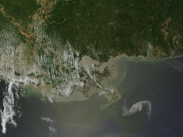 NASA image: Oil Spill in Gulf of Mexico April 29th View