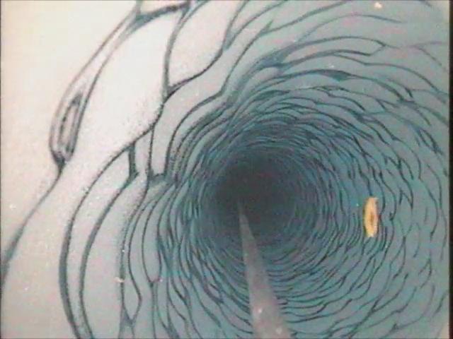 At a depth of 600 feet beneath the West Antarctic ice sheet, a small shrimp-like creature managed to brighten up an otherwise gray polar day in late November 2009. This critter is a three-inch long Lyssianasid amphipod found beneath the Ross Ice Shelf, about 12.5 miles away from open water. NASA scientists were using a borehole camera to look back up towards the ice surface when they spotted this pinkish-orange creature swimming beneath the ice.   Credit: NASA