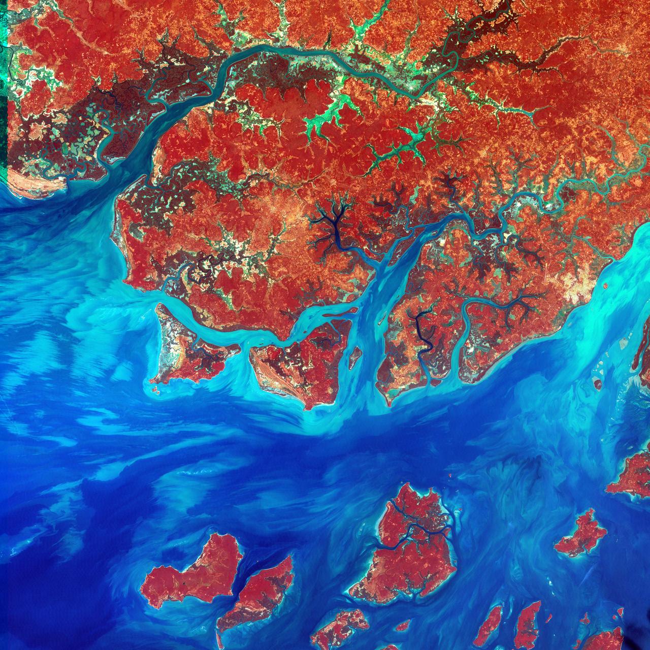 This Landsat 7 image of Guinea-Bissau, a small country in West Africa, shows the complex patterns of the country's shallow coastal waters, where silt carried by the Geba and other rivers washes out into the Atlantic Ocean. This is a false-color composite image made using infrared, red and blue wavelengths to bring out details in the silt was taken using Landsat 7's Enhanced Thematic Mapper plus (ETM+) sensor on Jan. 12, 2000. Image Credit: NASA/USGS EROS Data Center To learn more about the Landsat satellite go to: <a href="http://landsat.gsfc.nasa.gov/" rel="nofollow">landsat.gsfc.nasa.gov/</a>
