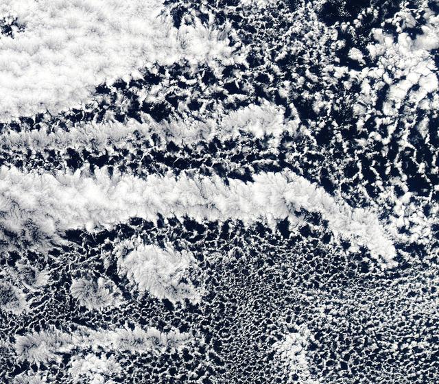 NASA image: Open-cell and closed-cell clouds off Peru [detail]