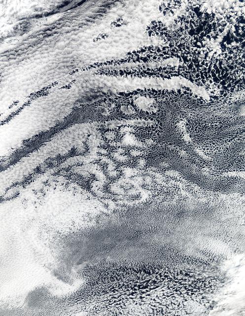 NASA image: Open-cell and closed-cell clouds off Peru