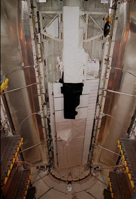 NASA image: KSC-00pp0088