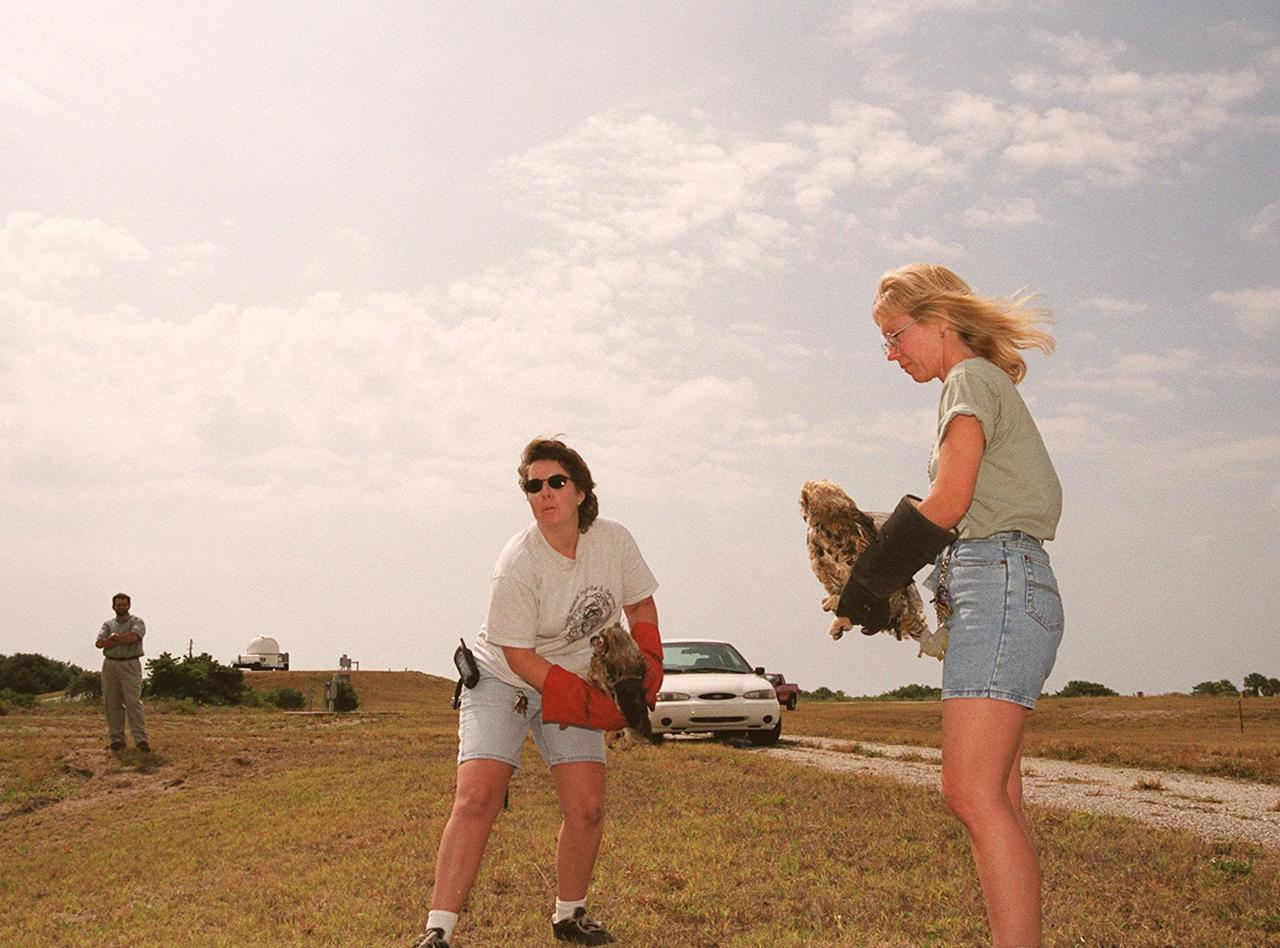  Eileen Olejarski (left), manager of Florida Wildlife Hospital, and Susan Small, director of the hospital, get ready to release two great horned owls at Cape Canaveral Air Force Station, Complex 25/29. The owls were found in June on the floor of CCAFS Hangar G, where their nest was located. They were treated at a local veterinary hospital and then taken to the Florida Wildlife Hospital in Melbourne for care and rehabilitation before release