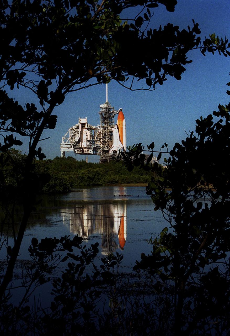 KENNEDY SPACE CENTER, Fla. - Space Shuttle Endeavour is framed by the trees and shrubs near Launch Pad 39B.  Its launch Nov. 29 on mission STS-108 was scrubbed due to docking problems of the Russian resupply craft with the International Space Station. Mission STS-108 is a Utilization Flight and will carry the Expedition 4 crew and the Multi-Purpose Logistics Module Raffaello, filled with supplies, equipment and experiments