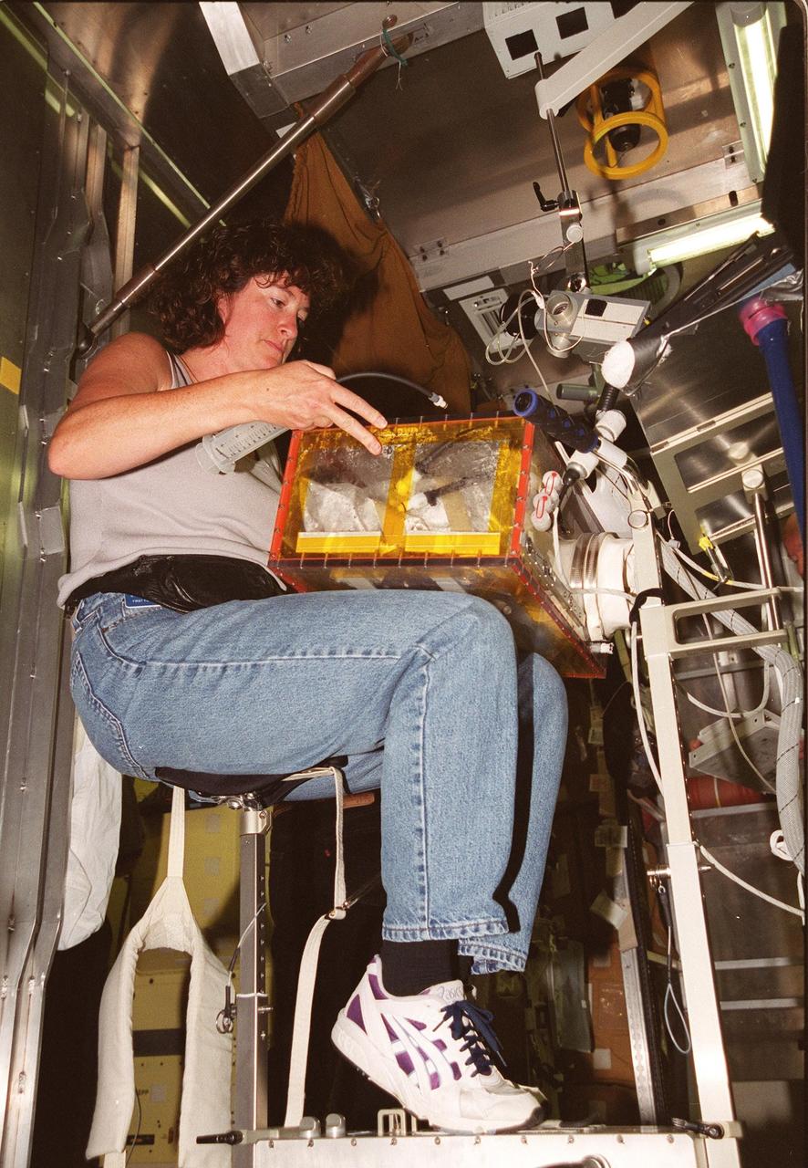 KENNEDY SPACE CENTER, Fla. -- During Crew Equipment Interface Test activities at SPACEHAB, Cape Canaveral, Fla., STS-107 Mission Specialist Laurel Blair Salton Clark gets hands-on training on a glove box experiment inside the training module. As a research mission, STS-107 will carry the SPACEHAB Double Module in its first research flight into space and a broad collection of experiments ranging from material science to life science. CEIT activities enable the crew to perform certain flight operations, operate experiments in a flight-like environment, evaluate stowage locations and obtain additional exposure to specific experiment operations. Other STS-107 crew members are Commander Rick Douglas Husband; Pilot William C. McCool; Payload Commander Michael P. Anderson; Mission Specialists Kalpana Chawla and David M. Brown; and Payload Specialist Ilan Ramon, of Israel. STS-107 is scheduled for launch May 23, 2002