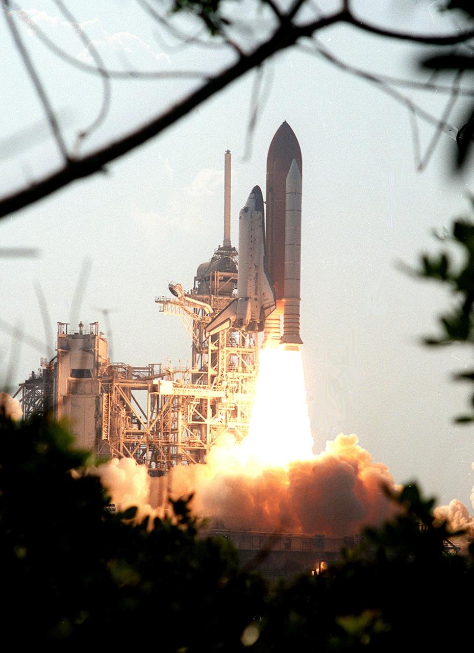 KENNEDY SPACE CENTER, Fla. -- Viewed from between the trees, Space Shuttle Discovery rises above the smoke as it soars into the blue sky on mission STS-105 to the International Space Station. Viewed from the top of the Vehicle Assembly Building, liftoff occurred at 5:10:14 p.m. EDT on this second launch attempt. Launch countdown activities for the 12-day mission were called off Aug. 9 during the T-9 minute hold due to the high potential for lightning, a thick cloud cover and the potential for showers. Besides the Shuttle crew of four, Discovery carries the Expedition Three crew who will replace Expedition Two on the International Space Station. The mission includes the third flight of an Italian-built Multi-Purpose Logistics Module delivering additional scientific racks, equipment and supplies for the Space Station, and two spacewalks. Part of the payload is the Early Ammonia Servicer (EAS) tank, which will be attached to the Station during the spacewalks. The EAS contains spare ammonia for the Station’s cooling system. The three-member Expedition Two crew will be returning to Earth aboard Discovery after a five-month stay on the Station