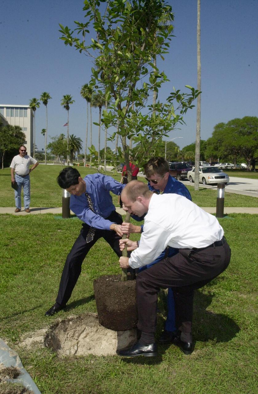 KENNEDY SPACE CENTER, FLA. --  Astronaut Frank Culbertson (with sunglasses) gets help moving a tree into its freshly dug hole near KSC Headquarters Building.   The tree commemorates his stay on and safe return from the International Space Station as a member of the Expedition 3 crew.   Culbertson served as commander for the four-month stay, August to December 2001.  The tree planting is a tradition for the Expedition crews.