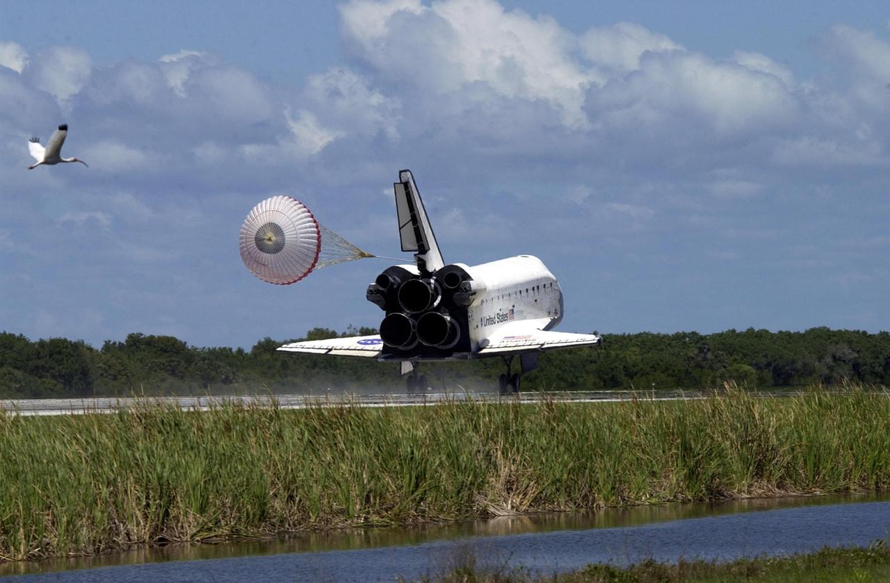 KENNEDY SPACE CENTER, FLA. - A wood stork appears to chase Atlantis as it lands on runway 33 with its drag chute deployed. The landing completes the 10-day, 19-hour, 4.5-million mile mission STS-110 to the International Space Station. In the upper right corner is the chase plane following Atlantis' path. The orbiter carries the returning crew Commander Michael Bloomfield, Pilot Stephen Frick and Mission Specialists Jerry Ross, Steven Smith, Ellen Ochoa, Lee Morin and Rex Walheim. Main gear touchdown was 12:26:57 p.m. EDT, nose gear touchdown was 12:27:09 p.m. and wheel stop was 12:28:07 p.m. The crew delivered and installed the S0 truss, which will support cooling and power systems essential for the addition of future international laboratories, on the Station.