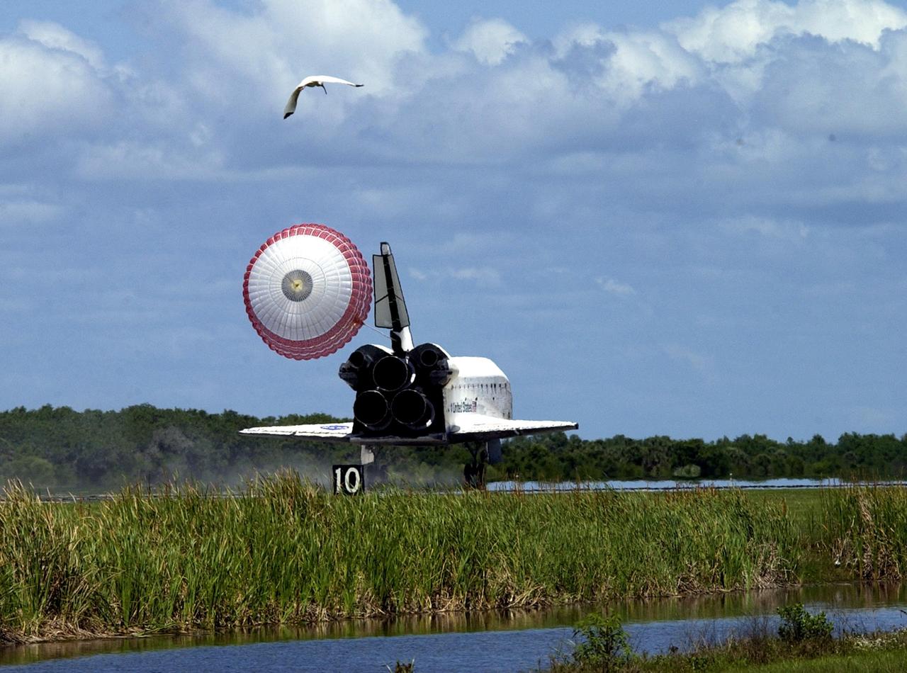 KENNEDY SPACE CENTER, FLA. -- A wood stork appears to chase Atlantis as it lands on runway 33 with its drag chute deployed. The landing completes the 10-day, 19-hour, 4.5-million mile mission STS-110 to the International Space Station. In the upper right corner is the chase plane following Atlantis' path. The orbiter carries the returning crew Commander Michael Bloomfield, Pilot Stephen Frick and Mission Specialists Jerry Ross, Steven Smith, Ellen Ochoa, Lee Morin and Rex Walheim. Main gear touchdown was 12:26:57 p.m. EDT, nose gear touchdown was 12:27:09 p.m. and wheel stop was 12:28:07 p.m. The crew delivered and installed the S0 truss, which will support cooling and power systems essential for the addition of future international laboratories, on the Station