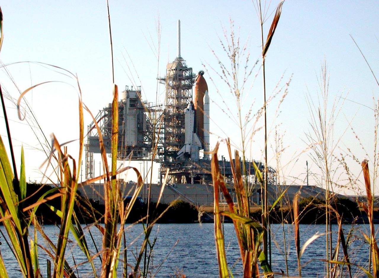 KENNEDY SPACE CENTER, FLA. --  A view of Space Shuttle Columbia through reedy grasses in nearby water.  Columbia is revealed after rollback of the Rotating Service Structure on Launch Pad 39A. Columbia is scheduled for launch Jan. 16 at 10:39 a.m. EST on mission STS-107, a research mission.     