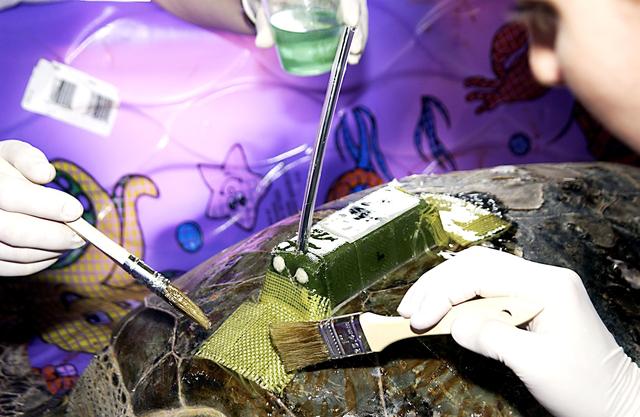 NASA image: KSC-03pd0218