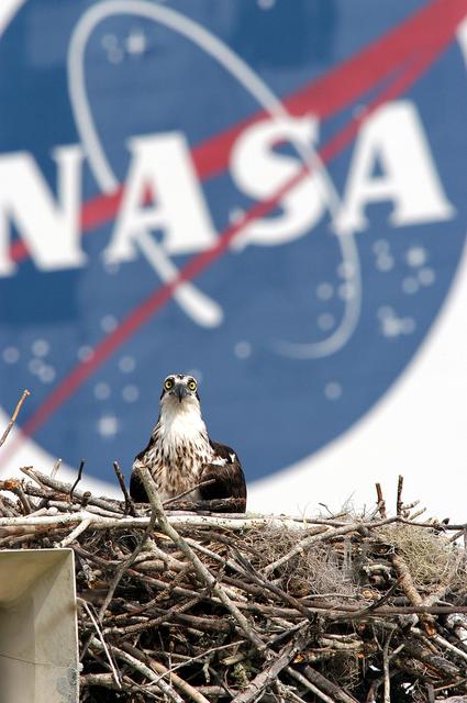 NASA image: KSC-03pd0775