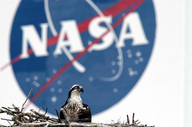 NASA image: KSC-03pd0776