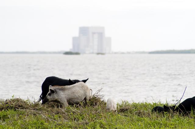 NASA image: KSC-03pd0778