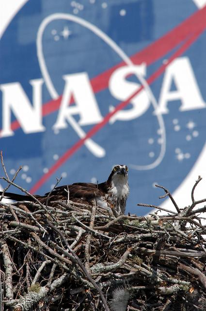 NASA image: KSC-03pd0948