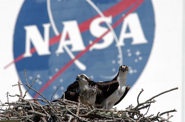 NASA image: KSC-03pd0951
