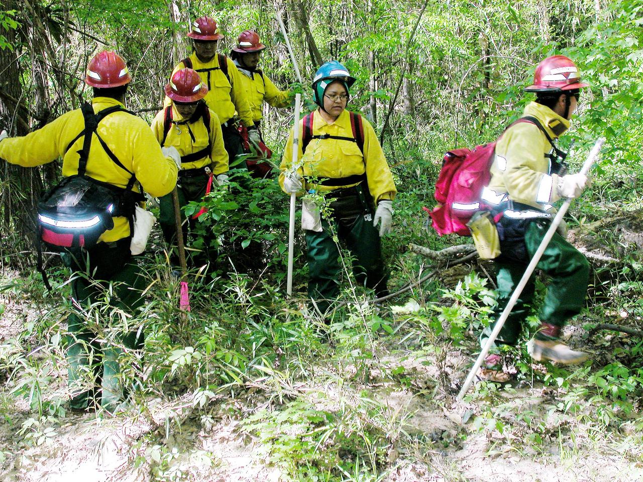 KENNEDY SPACE CENTER, FLA. -- Members of a U.S. Forest Service search team walk a grid during a Columbia Recovery search near the Hemphill site. The group is accompanied by a space program worker able to identify potential hazards of Shuttle parts. Kennedy Space Center workers are participating in the Columbia Recovery efforts at the Lufkin (Texas) Command Center, four field sites in East Texas, and the Barksdale, La., hangar site. KSC is working with representatives from other NASA Centers and with those from a number of federal, state and local agencies in the recovery effort. KSC provides vehicle technical expertise in the field to identify, collect and return Shuttle hardware to KSC.