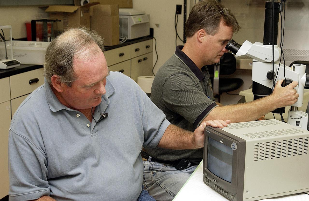 KENNEDY SPACE CENTER, FLA. - NASA Project Manager Fred Ahmay (left) and Bionetics Project Engineer William McLamb examine C. elegans nemotodes (round worms) using a microscope. These specimens were found in a Biological Research in Canisters (BRIC) container, a middeck experiment that was among the Columbia debris recovered in East Texas. The worms are descendants of those that were part of an experiment that flew on Columbia's last mission, STS-107. The experiment was designed to verify a new synthetic nutrient solution for an International Space Station (ISS) "model" specimen planned to be used extensively for ISS gene expression studies and was sponsored by the NASA Ames Research Center. Scientists are now looking over the experiment at KSC to determine if it will yield any scientific results. The investigation into the cause of the Columbia accident is ongoing.