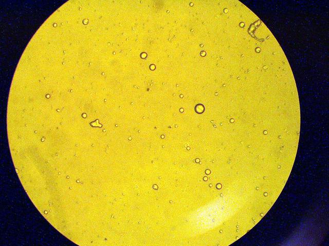 NASA image: KSC-03pd1447