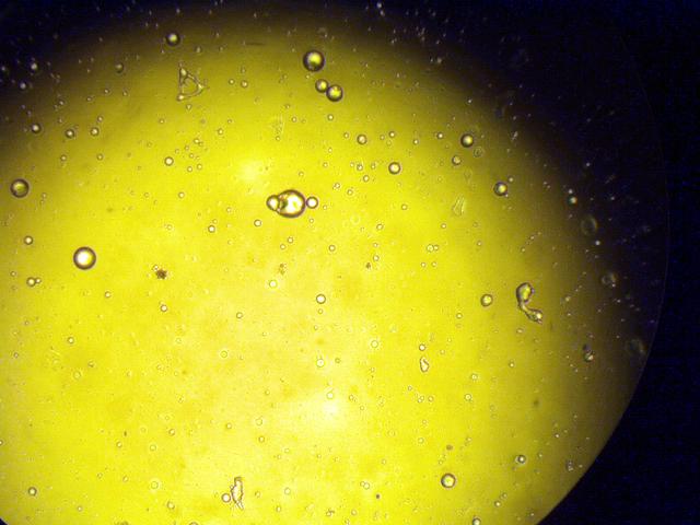 NASA image: KSC-03pd1448