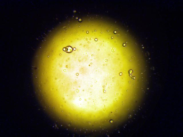 NASA image: KSC-03pd1449