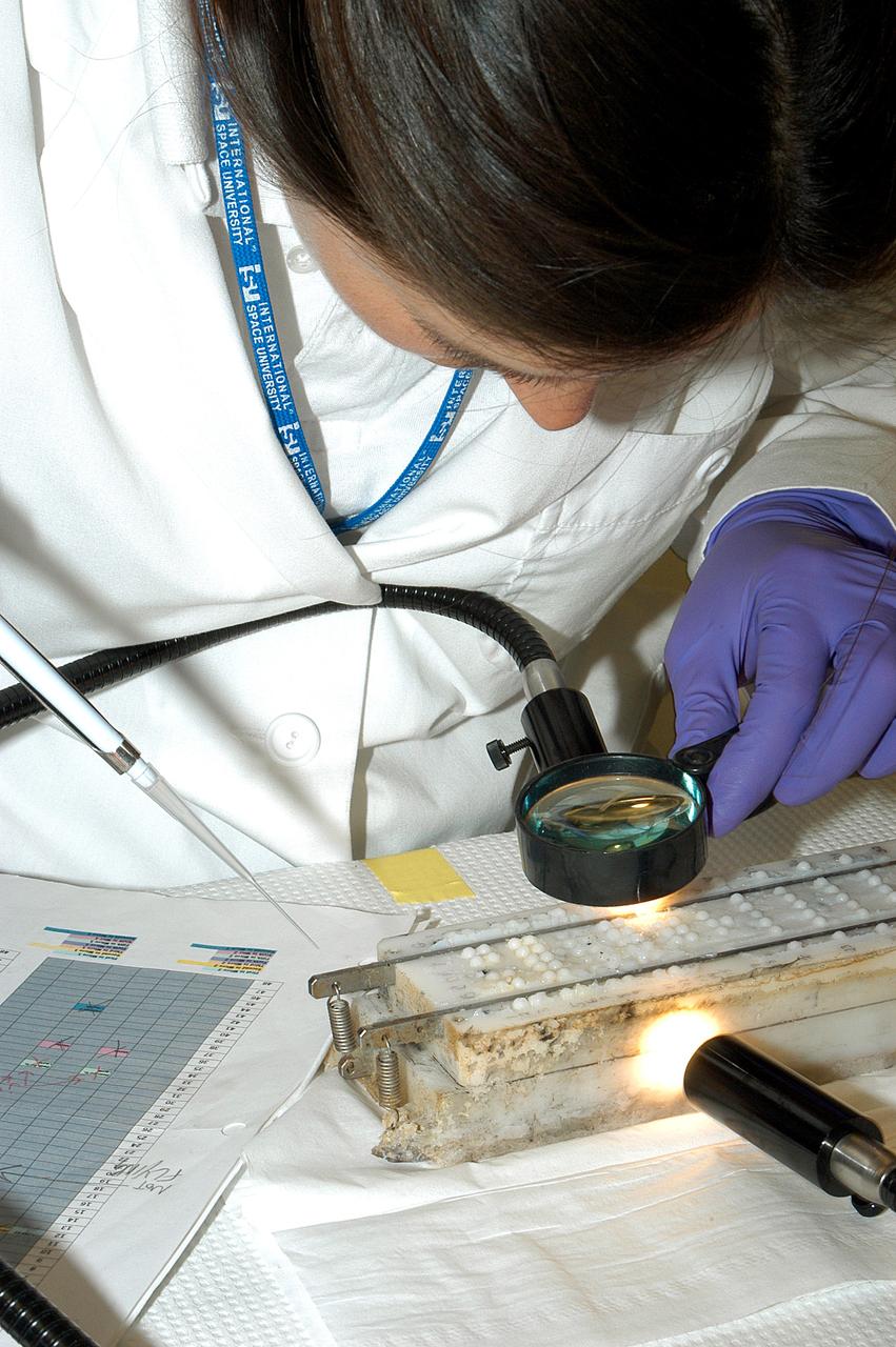 KENNEDY SPACE CENTER, FLA. - Valerie Cassanto, with Instrumentation Technology Associates, Inc., examines closely the container containing one of the experiments carried on mission STS-107.  Several experiments were found during the search for Columbia debris.  Included in the Commercial ITA Biomedical Experiments payload on mission STS-107 are urokinase cancer research, microencapsulation of drugs, the Growth of Bacterial Biofilm on Surfaces during Spaceflight (GOBBSS), and tin crystal formation.