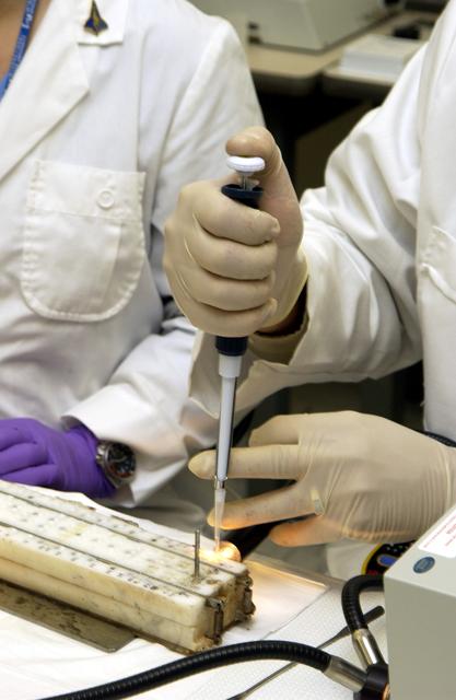 NASA image: KENNEDY SPACE CENTER, FLA. -  Dr. Dennis Morrison, NASA Johnson Space Center, works with one of the experiments carried on mission STS-107. Several experiments were found during the search for Columbia debris. Included in the Commercial ITA Biomedical Experiments payload on mission STS-107 are urokinase cancer research, microencapsulation of drugs, the Growth of Bacterial Biofilm on Surfaces during Spaceflight (GOBBSS), and tin crystal formation.