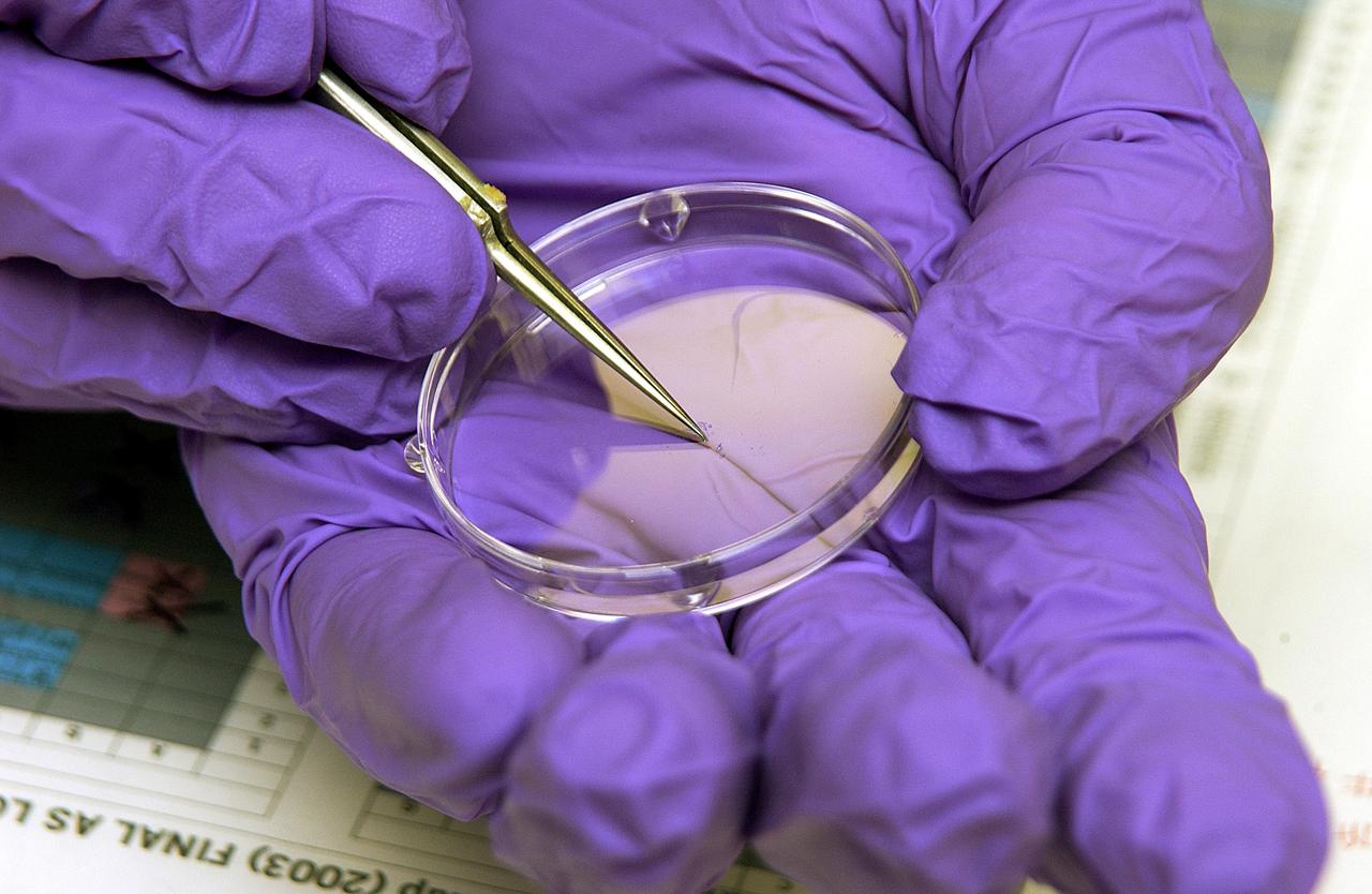 KENNEDY SPACE CENTER, FLA. -  The crystals visible in this laboratory dish were part of an experiment carried on mission STS-107. Several experiments were found during the search for Columbia debris. Included in the Commercial ITA Biomedical Experiments payload on mission STS-107 are urokinase cancer research, microencapsulation of drugs, the Growth of Bacterial Biofilm on Surfaces during Spaceflight (GOBBSS), and tin crystal formation.