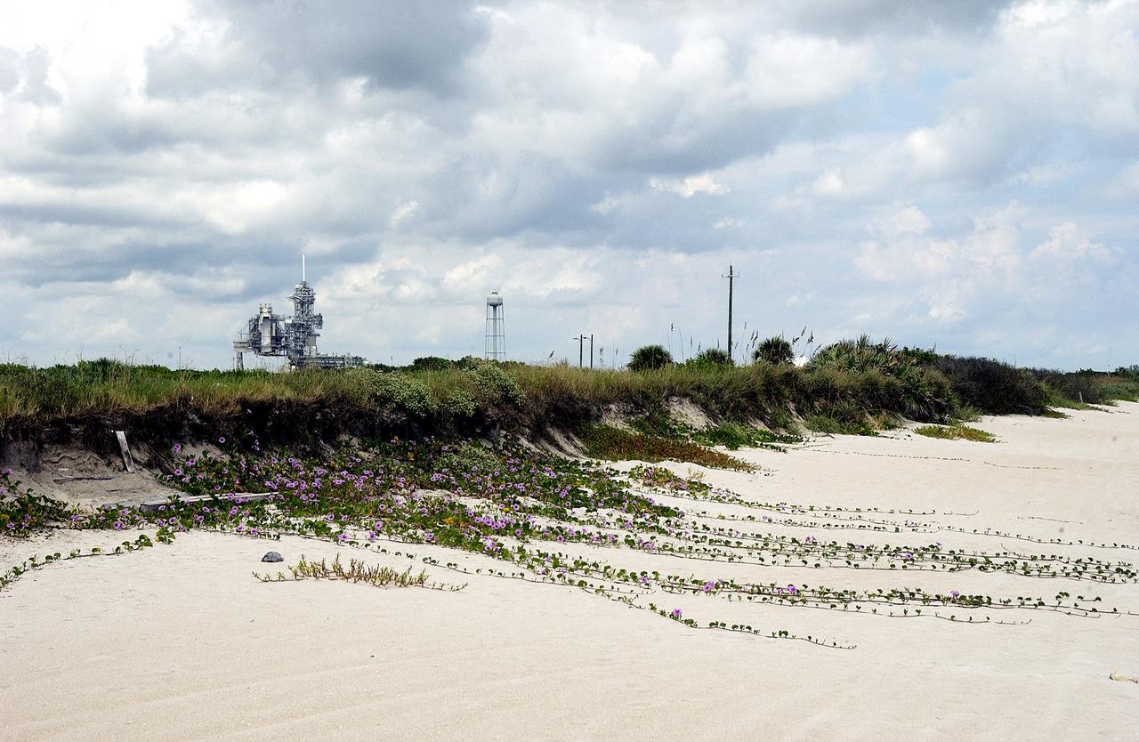 KENNEDY SPACE CENTER, FLA.  -    The sand dunes facing the Atlantic Ocean near Launch Pad 39A (background) at KSC spill purple flowers down its banks.  The beach is just south of the Canaveral National Seashore, managed by the National Wildlife Service.