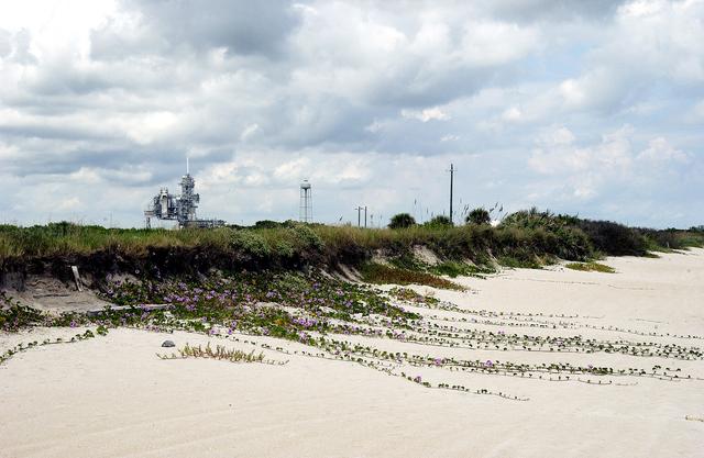 KENNEDY SPACE CENTER, FLA.  -    The sand dunes facing the Atlantic Ocean near Launch Pad 39A (background) at KSC spill purple flowers down its banks.  The beach is just south of the Canaveral National Seashore, managed by the National Wildlife Service.