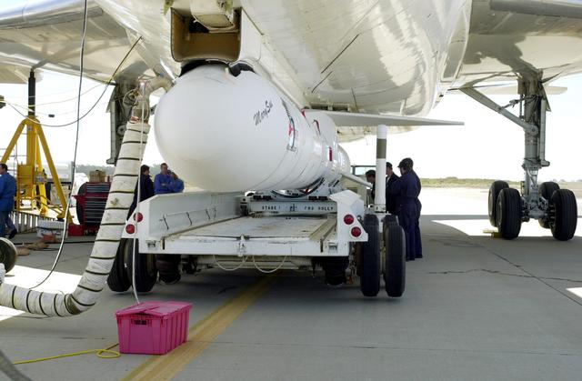 NASA image: VANDENBERG AIR FORCE BASE, CALIF. -  The SciSat-1 payload and Pegasus launch vehicle are lifted and mated to the L-1011 carrier aircraft.  The SciSat-1 weighs approximately 330 pounds and after launch will be placed in a 400-mile-high polar orbit to investigate processes that control the distribution of ozone in the upper atmosphere. The data from the satellite will provide Canadian and international scientists with improved measurements relating to global ozone processes and help policymakers assess existing environmental policy and develop protective measures for improving the health of our atmosphere, preventing further ozone depletion. The mission is designed to last two years.