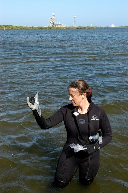 NASA image: KENNEDY SPACE CENTER, FLA. - Karen Holloway-Adkins, KSC wildlife specialist, holds a sample of the sea grass she collected from the floor of the Banana River.  She is studying the life history of sea turtles, especially what they eat, where they lay their eggs and what factors might harm their survival.  On the boat trip she is also monitoring the growth of sea grasses and algae and the water quality of estuaries and lagoons used by sea turtles and other aquatic wildlife.