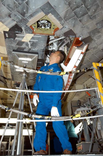 NASA image: KENNEDY SPACE CENTER, FLA. - STS-114 Mission Specialist Soichi Noguchi looks at tile on the underside of the orbiter Discovery.  Noguchi is with the Japanese Aerospace and Exploration Agency.   He and other crew members are at KSC becoming familiar with Shuttle and mission equipment. The mission is Logistics Flight 1, which is scheduled to deliver supplies and equipment plus the external stowage platform to the International Space Station.
