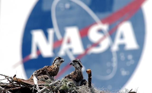 NASA image: KSC-04pd0879