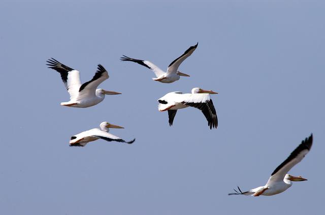NASA image: KSC-04pd0900