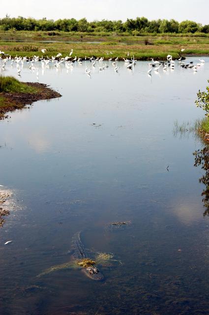 NASA image: KSC-04pd1250