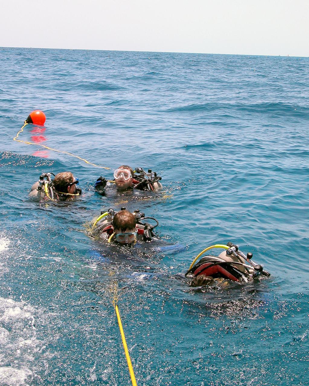 KENNEDY SPACE CENTER, FLA. - In the water for a practice dive in the ocean offshore from Key Largo are the NASA Extreme Environment Mission Operations 6 (NEEMO-6) mission team: (left to right) Tara Ruttley, a biomedical engineer, and astronauts Nick Patrick, John Herrington and Doug Wheelock. The NEEMO-6 mission involves exposing an astronaut/scientist crew to a real mission experience in an extreme environment - the NOAA undersea station Aquarius - to prepare for future space flight. Spacewalk-like diving excursions and field-tests on a variety of biomedical equipment are designed to help astronauts living aboard the International Space Station. To prepare for their 10-day stay, the team had dive training twice a day at the Life Support Buoy, anchored above Aquarius.
