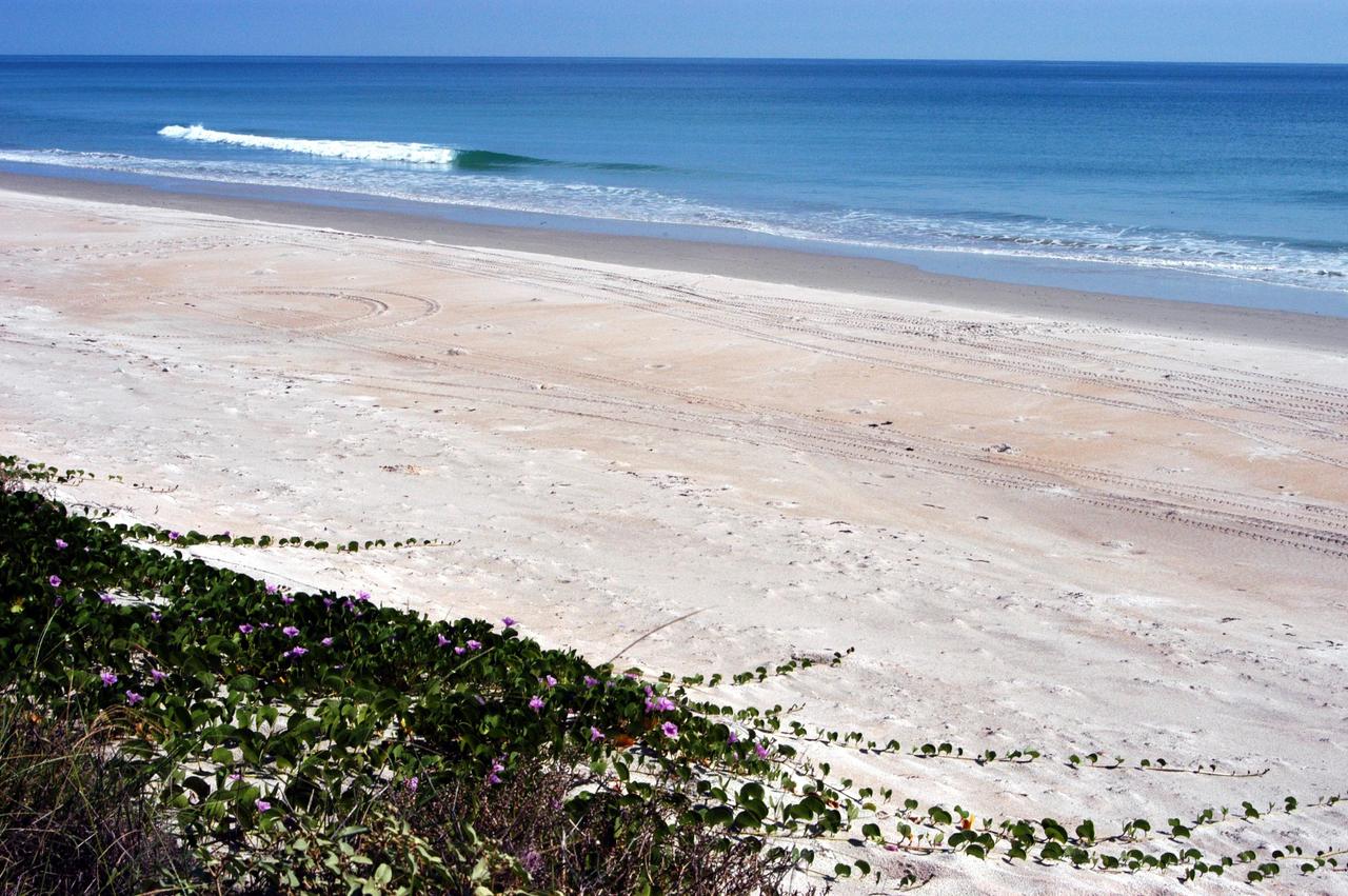 KENNEDY SPACE CENTER, FLA. - The calm blue ocean near the launch pads at KSC beckons.  The sand dunes facing the Atlantic Ocean spill pink flowers down its banks.  The vegetation helps prevent the dunes from eroding.  The beach is part of the Canaveral National Seashore, managed by the National Wildlife Service.