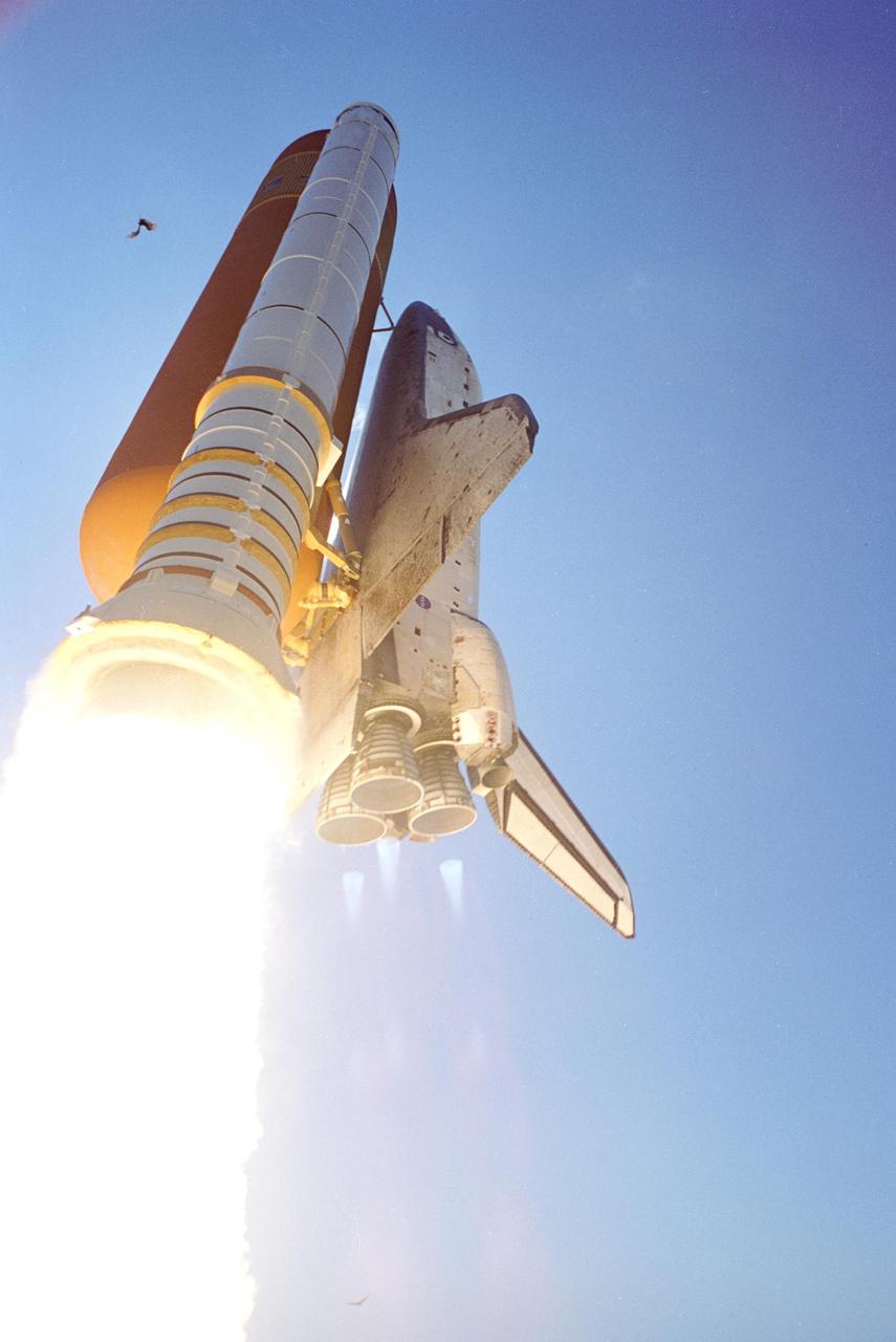 KENNEDY SPACE CENTER, FLA. - In the wrong place at the wrong time, a bird (upper left) falls away from Space Shuttle Discovery after being hit by the External Tank during launch from Launch Pad 39B.  Discovery lifted off into the clear blue sky at 10:39 a.m. EDT on the historic Return to Flight mission STS-114.  It is the 114th Space Shuttle flight and the 31st for Discovery.  The 12-day mission is expected to end with touchdown at the Shuttle Landing Facility on Aug. 7.  On this mission to the International Space Station the crew will perform inspections on-orbit for the first time of all of the Reinforced Carbon-Carbon (RCC) panels on the leading edge of the wings and the Thermal Protection System tiles using the new Canadian-built Orbiter Boom Sensor System and the data from 176 impact and temperature sensors. Mission Specialists will also practice repair techniques on RCC and tile samples during a spacewalk in the payload bay.  During two additional spacewalks, the crew will install the External Stowage Platform-2, equipped with spare part assemblies, and a replacement Control Moment Gyroscope contained in the Lightweight Multi-Purpose Experiment Support Structure.