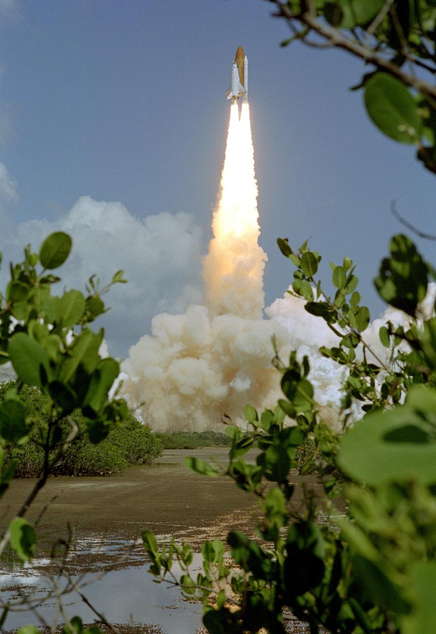 KENNEDY SPACE CENTER, FLA. - Viewed from a camera in the midst of Florida greenery across the marshy water, Space Shuttle Discovery leaps through billows of smoke and steam on Launch Pad 39B on the historic Return to Flight mission STS-114. Liftoff occurred at 10:39 a.m. EDT. This is the 114th Space Shuttle flight and the 31st for Discovery. The 12-day mission is expected to end with touchdown at the Shuttle Landing Facility on Aug. 7. On this mission to the International Space Station the crew will perform inspections on-orbit for the first time of all of the Reinforced Carbon-Carbon (RCC) panels on the leading edge of the wings and the Thermal Protection System tiles using the new Canadian-built Orbiter Boom Sensor System and the data from 176 impact and temperature sensors. Mission Specialists will also practice repair techniques on RCC and tile samples during a spacewalk in the payload bay. During two additional spacewalks, the crew will install the External Stowage Platform-2, equipped with spare part assemblies, and a replacement Control Moment Gyroscope contained in the Lightweight Multi-Purpose Experiment Support Structure.