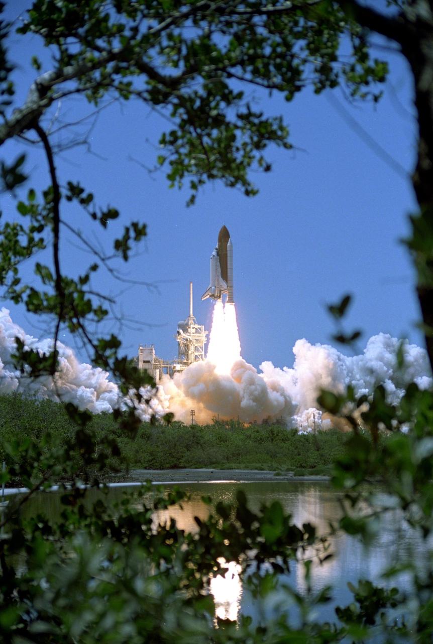 KENNEDY SPACE CENTER, FLA. - Framed by trees in nearby woods, Space Shuttle Discovery rockets into the blue sky from Launch Pad 39B on mission STS-121, kicking off the fiery festivities of Independence Day. Liftoff was on-time at 2:38 p.m. EDT. During the 12-day mission, the STS-121 crew of seven will test new equipment and procedures to improve shuttle safety, as well as deliver supplies and make repairs to the International Space Station. Landing is scheduled for July 16 or 17 at Kennedy's Shuttle Landing Facility. Photo credit: NASA/Sandy Joseph & Robert Murray