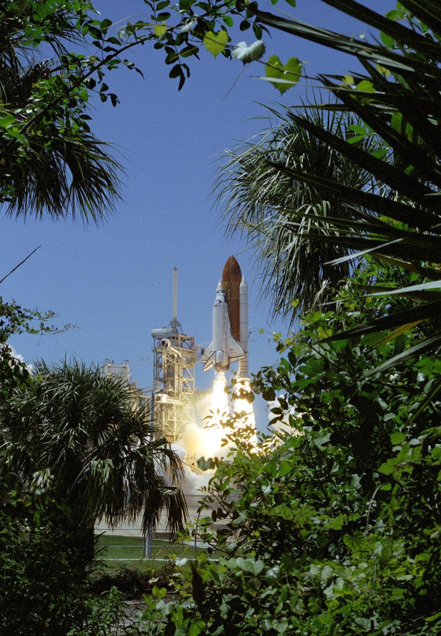 KENNEDY SPACE CENTER, FLA. - Space Shuttle Discovery appears to leap from the midst of palms as it rockets into the blue sky from Launch Pad 39B on mission STS-121, kicking off the fiery festivities of Independence Day. Liftoff was on-time at 2:38 p.m. EDT. During the 12-day mission, the STS-121 crew of seven will test new equipment and procedures to improve shuttle safety, as well as deliver supplies and make repairs to the International Space Station. Landing is scheduled for July 16 or 17 at Kennedy's Shuttle Landing Facility. Photo credit: NASA/Sandy Joseph & Robert Murray