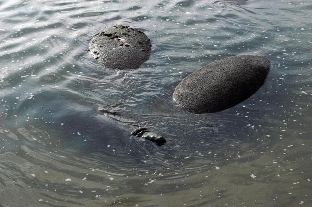 NASA image: KSC-07pd0117