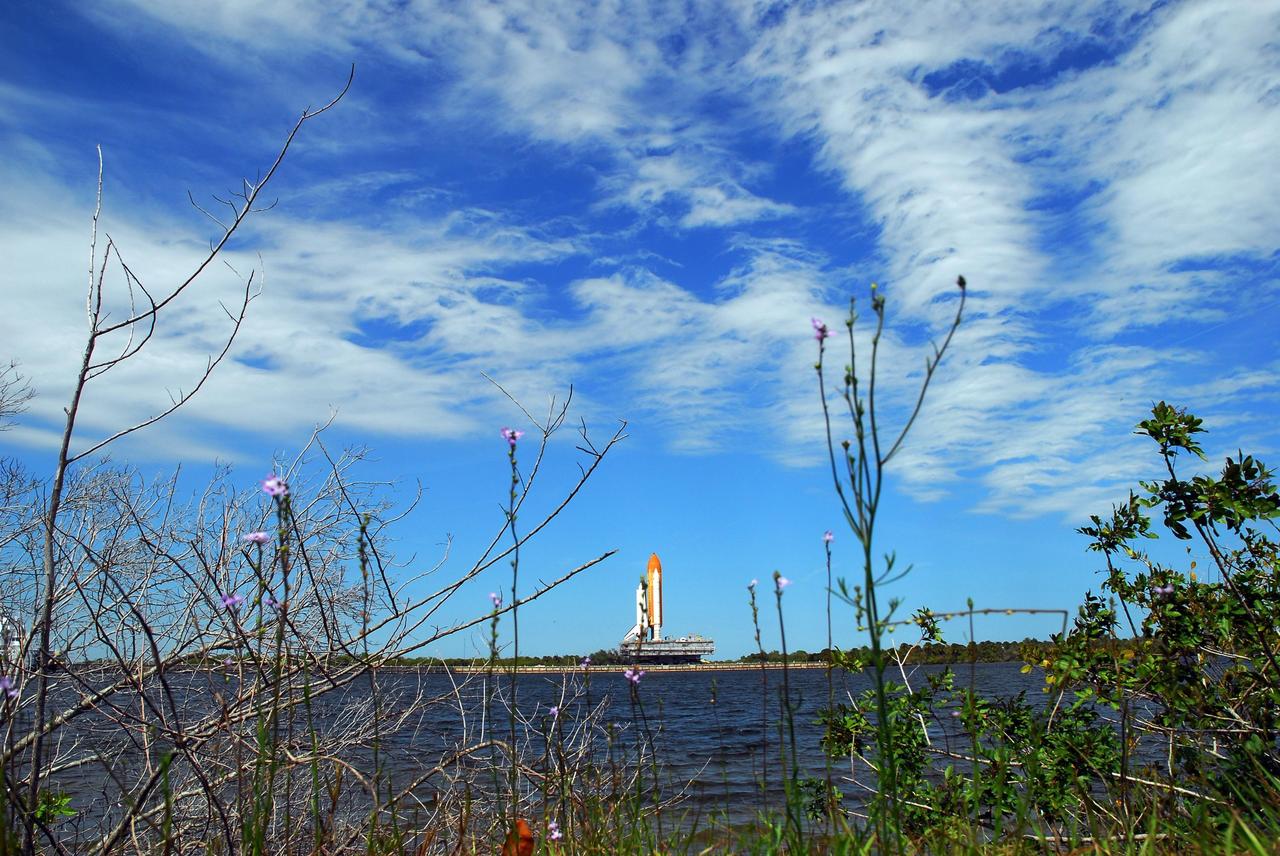 KENNEDY SPACE CENTER, FLA. --   As it rolls back to the Vehicle Assembly Building, Space Shuttle Atlantis, atop the mobile launcher platform, is framed in the photo by winter-stripped branches topped by spring blossoms.  In the VAB, the shuttle will be examined for hail damage. A severe thunderstorm with golf ball-sized hail caused divots in the giant tank's foam insulation and minor surface damage to about 26 heat shield tiles on the shuttle's left wing. Further evaluation of the tank is necessary to get an accurate accounting of foam damage and determine the type of repair required and the time needed for that work.  A new target launch date has not been determined, but teams will focus on preparing Atlantis for liftoff in late April.  Photo credit: NASA/Amanda Diller