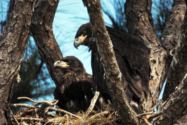 NASA image: KSC-07pd0720
