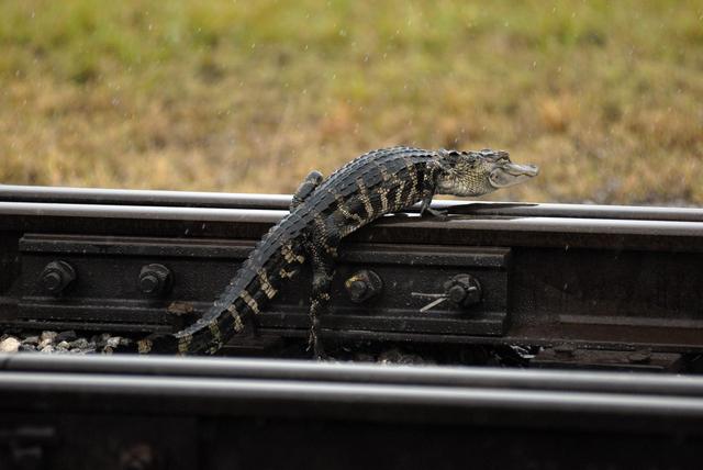 NASA image: KSC-07pd1165