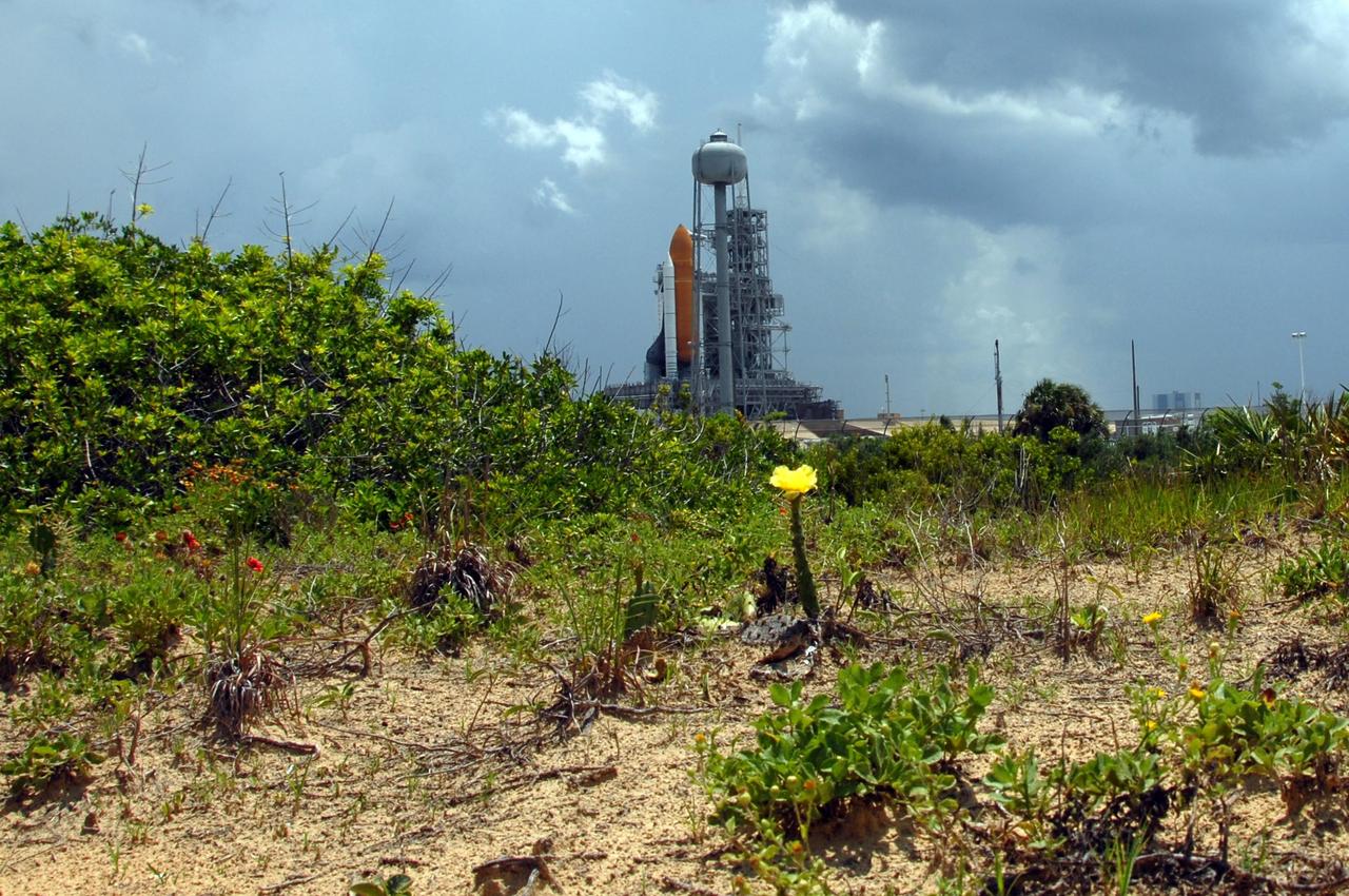 KENNEDY SPACE CENTER, FLA. - As afternoon storm clouds sweep across a dune near Launch Pad 39A, Space Shuttle Endeavour is seen from the back side. In front of it is the 290-foot-tall water tower that provides the deluge over the mobile launcher platform for sound suppression during liftoff. The shuttle arrived at the pad in the early morning after an 8:30 p.m. rollout on July 10. Endeavour is scheduled to launch on mission STS-118 on Aug. 7. During the mission, Endeavour will carry into orbit the S5 truss, SPACEHAB module and external stowage platform 3. The mission is the 22nd flight to the International Space Station and will mark the first flight of Mission Specialist Barbara Morgan, the teacher-turned-astronaut whose association with NASA began more than 20 years ago. STS-118 will be the first flight since 2002 for Endeavour, which has undergone extensive modifications, including the addition of safety upgrades already added to orbiters Discovery and Atlantis. Photo credit: NASA/Ken Thornsley