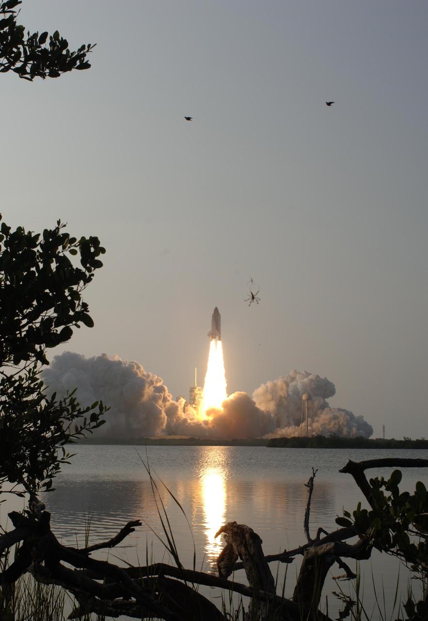 KENNEDY SPACE CENTER, FLA. -- A spider suspended between trees  in the foreground has a perfect view of Space Shuttle Endeavour as it roars into the sky on mission STS-118.  The rumbling sound of liftoff startles birds flying above.  Liftoff of Endeavour from Launch Pad 39A was on time at 6:36 p.m. EDT. The mission is the 22nd shuttle flight to the International Space Station. It will continue space station construction by delivering a third starboard truss segment, S5, and other payloads such as the SPACEHAB module and the external stowage platform 3.  The 11-day mission may be extended to as many as 14 depending on the test of the Station-to-Shuttle Power Transfer System that will allow the docked shuttle to draw electrical power from the station and extend its visits to the orbiting lab.  Photo credit: NASA/Sandra Joseph, Tony Gray, Robert Murray